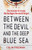 Between the Devil and the Deep Blue Sea 9781785787027 Hardback