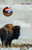 Butcher's Crossing 9780099589679 Paperback
