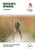 Britain's Spiders 9780691204741 Paperback