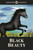 Ladybird Classics: Black Beauty 9781409311249 Hardback