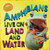 In the Animal Kingdom: Amphibians Live on Land and in Water 9781526309341 Hardback