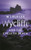 Wycliffe and the Cycle of Death 9780752844459 Paperback