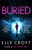 Buried 9781409187271 Paperback