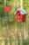 The Good House 9781782393221 Paperback