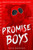 Promise Boys 9781035003150 Paperback