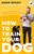 How to Train Your Dog 9781472148582 Paperback