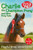 Charlie the Champion Pony and Other Pony Tales 9781509871247 Paperback