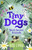 Tiny Dogs: Bea’s Secret Friends 9780241631171 Paperback