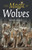 Magic of Wolves, The 9781803411064 Paperback