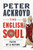 The English Soul 9781789148459 Hardback