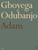 Adam 9780571390403 Paperback