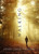 Walking 9780486836485 Paperback