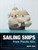 Sailing Ships from Plastic Kits 9781399078603 Hardback