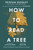 How to Read a Tree 9781529339628 Paperback