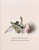 Alison Watt 9781911054450 Hardback