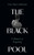 The Black Pool 9781399728232 Hardback