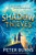 Shadow Thieves 9780008667818 Paperback