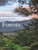 Forests 9781838865139 Hardback