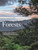 Forests 9781838865139 Hardback