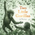 Two Little Gorillas 9781444973938 Paperback