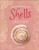 An Anthology of Shells 9780241725252 Hardback