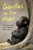 Gorillas in Our Midst 9781837995257 Paperback