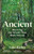 Ancient 9781805222231 Hardback