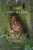 Goyle, Chert, Mire 9781787335912 Paperback