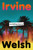 Can Nothing Save Us? 9781787336537 Hardback