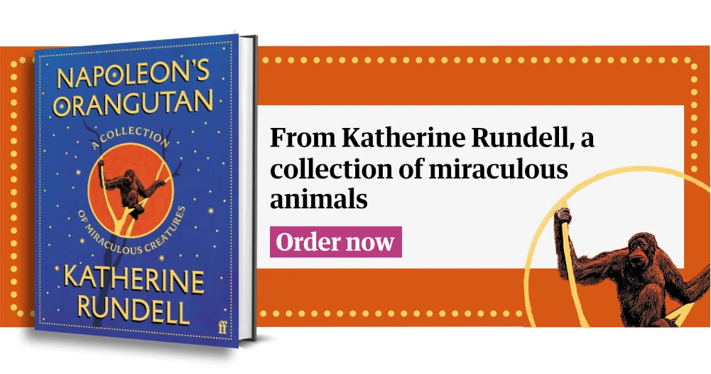 Napoleon's Orangutan, a collection of miraculous creatures by Katherine Rundell