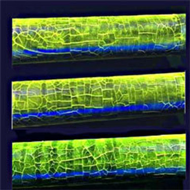 Magnetic Particle Accessories & Consumables - Magnetic Particle Materials -  Wet Method Aerosol & RTU - Fluorescent & Visible - NDT Supply.com