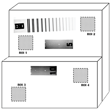 Duplex Plate Phantom