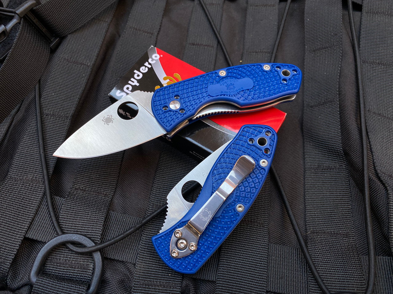 Spyderco Ambitious | Blue FRN Body - S35VN Satin Blade | NTL