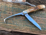 Case Amber Bone Peach Seed Jig Equestrian's Knife