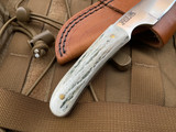 Silver Stag Slab Series Backwoods Pro Elk Antler Handle w/ D2 Plain Edge Blade (3”) BWP3.0