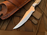 Silver Stag Slab Series Pro Bone Elk Antler Handle w/ D2 Plain Edge Blade (4.25”) PB4.25