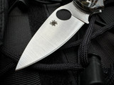 Spyderco Chaparral Raffir Noble Brass/Acrylic Scales w/ Satin Plain Edge Blade (2.8") C152RNP