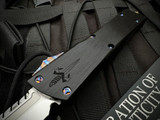 Marfione Custom Combat Troodon Interceptor Black Hefted Alloy Body w/ Flamed Hardware and Diamondwash Plain Edge Blade (3.8")