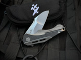 WingManEDC ASA Flipper Zirconium Inlaid Titanium Body w/ S90V Plain Edge Blade (3")