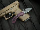 Spyderco Dragonfly 2 Folder Sprint Run Burgundy FRN Lightweight Body w/ PD#1 Black Plain Edge Blade (2.28") C28BGBKP2