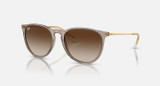 Ray-Ban Erika Polished Transparent Light Brown Frame w/ Gradient Brown Lenses RB4171 674413 54-18