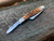 Case Amber Bone Peach Seed Jig Chrome Vanadium Medium Stockman (Pen blade)