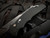 Pro-Tech Knives TR-5 Auto Folder Black Aluminum Body w/ Abalone Button and 154CM Sapphire Blue Plain Edge Blade (3.25")T503-SB