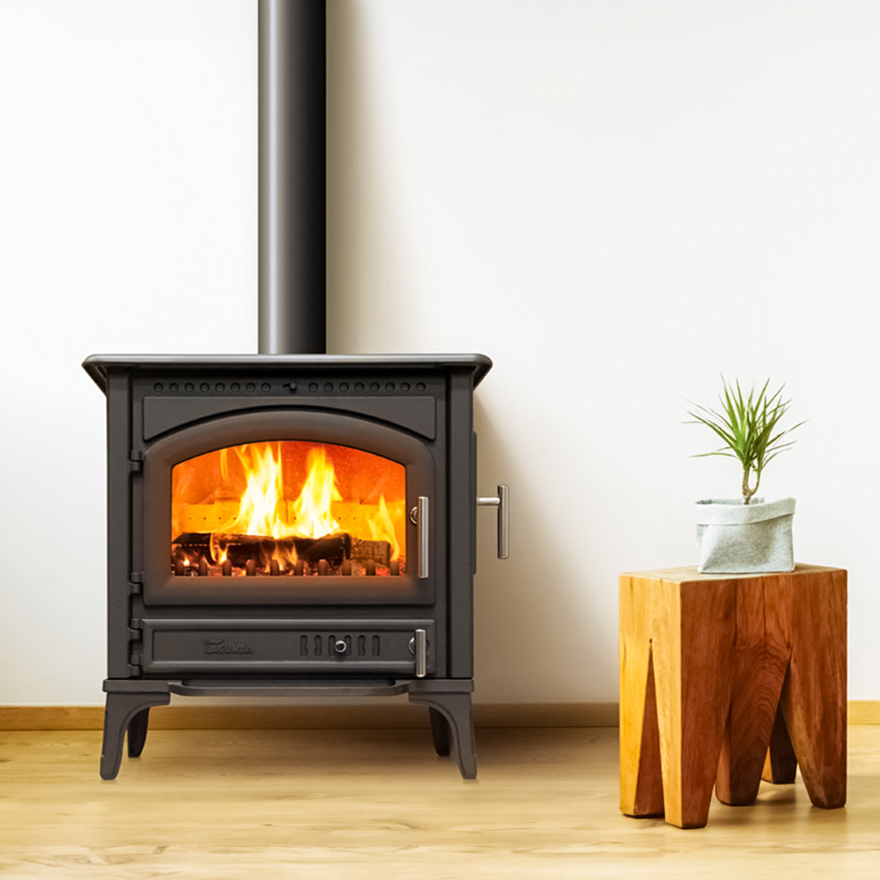 Poêle à bois 9kW myCastle de Wodtke