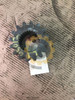 Carco_Paccar_Part_Number_45012U_GEAR_