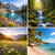 Nature Wallpaper 2