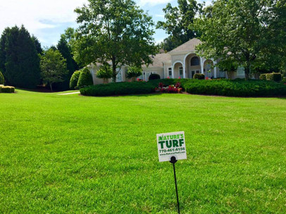 The Perfect Mailbox Deserves a Perfect Yard! The Perfect Mailbox Deserves a Perfect Yard!