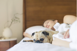 Unveiling the Secrets: How to Choose the Perfect Mattress Topper for Your Sleep Sanctuary