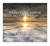 Heaven on Earth - Songs of the Soul 