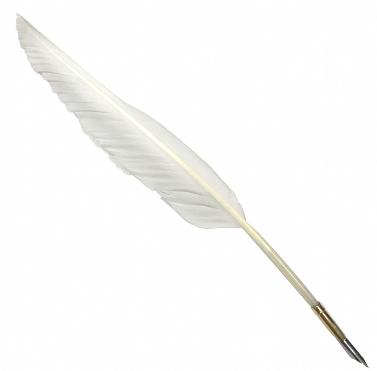 Goose Quill Pen (Set of 5)